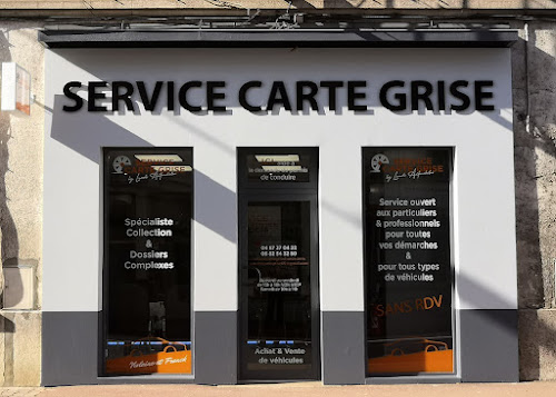 Agence d'immatriculation automobile SERVICE CARTE GRISE - Dossiers complexes et collections L'Arbresle