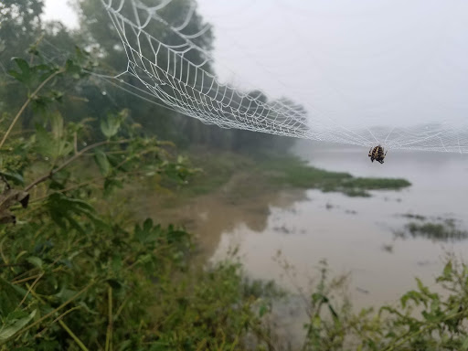 Park «Northwest Community Park», reviews and photos, 8575 Blue Mound Rd, Fort Worth, TX 76137, USA