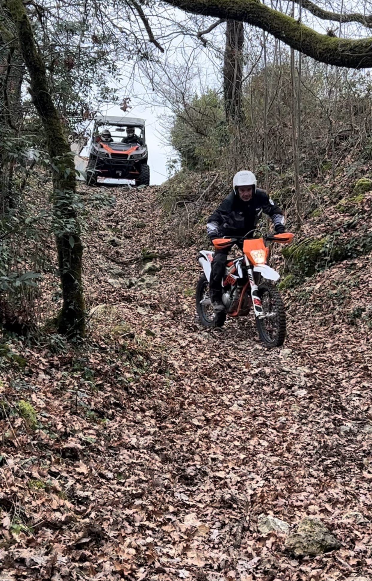 Photo n° 1 de l'avis de marc.h fait le 06/02/2023 à 15:16