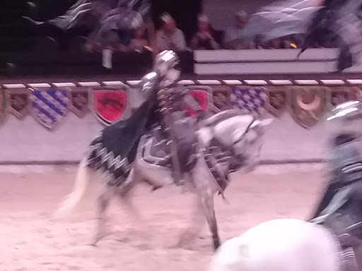 Dinner Theater «Medieval Times Dinner & Tournament», reviews and photos, 5900 Sugarloaf Pkwy #517, Lawrenceville, GA 30043, USA