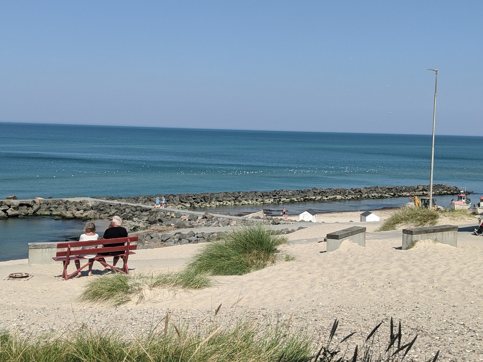 Lonstrup Klint Beach'in fotoğrafı ve yerleşim