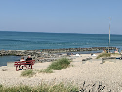 Lonstrup Klint Beach'in fotoğrafı ve yerleşim
