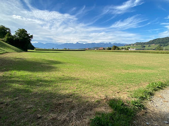 Gräberfeld Münsingen-Rain