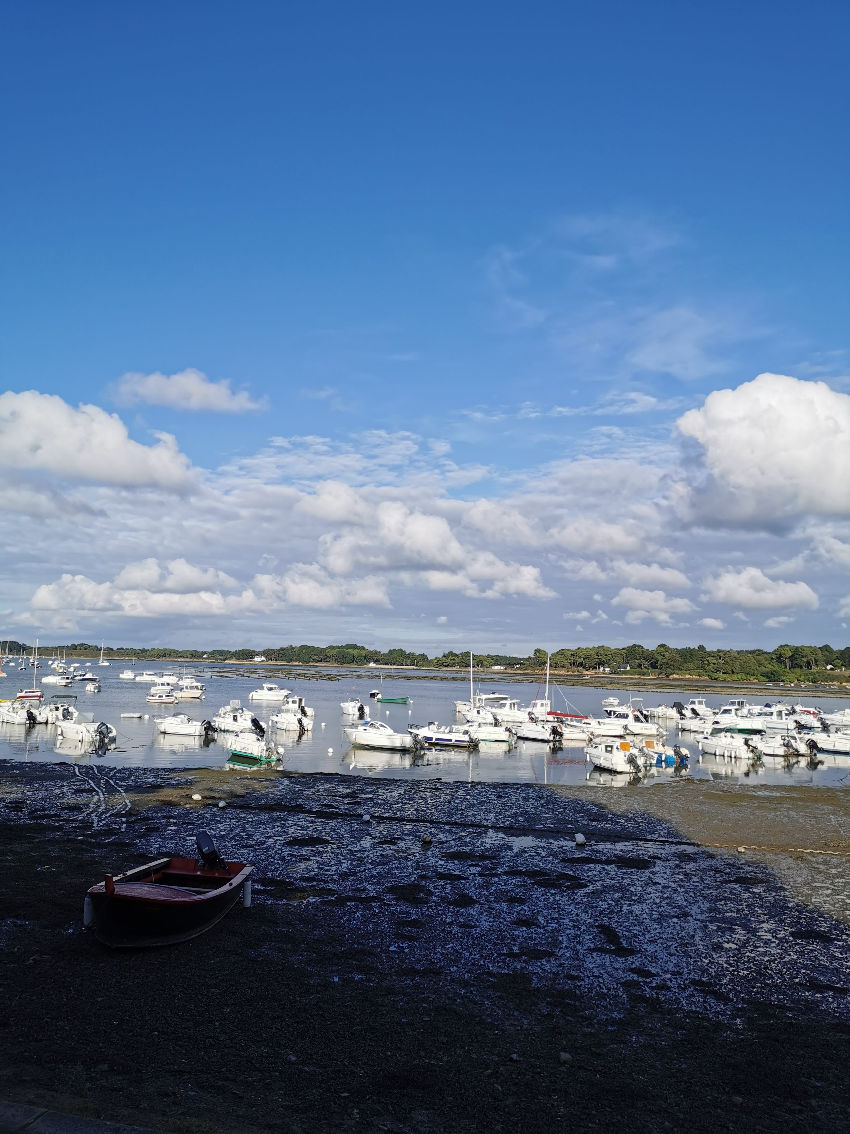 Photo n° 7 de l'avis de Bruno.I fait le 07/08/2019 à 18:38