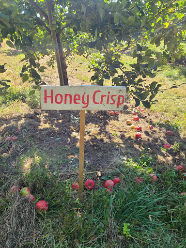 Orchard «Autumn Hills Orchard», reviews and photos, 495 Chicopee Row, Groton, MA 01450, USA