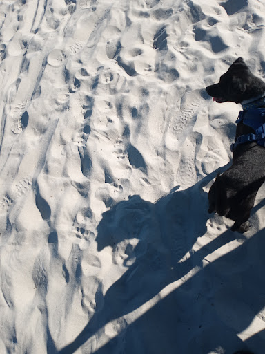 Bar & Grill «Tiki Hut», reviews and photos, 1 S Forest Beach Dr, Hilton Head Island, SC 29928, USA