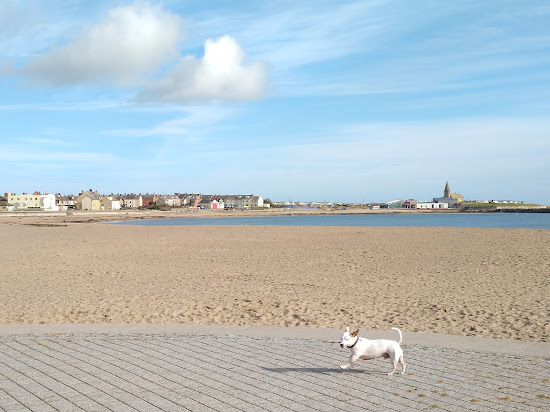 Newbiggin beach