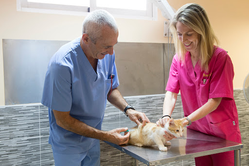 Clínica Veterinaria Alcobendas en Alcobendas