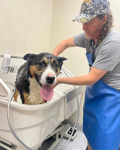 Pet Supply Store «Pet Pantry & Dog Wash», reviews and photos, 5148 Academy Blvd N, Colorado Springs, CO 80918, USA