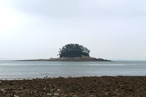 태안해안국립공원 연포지구 image