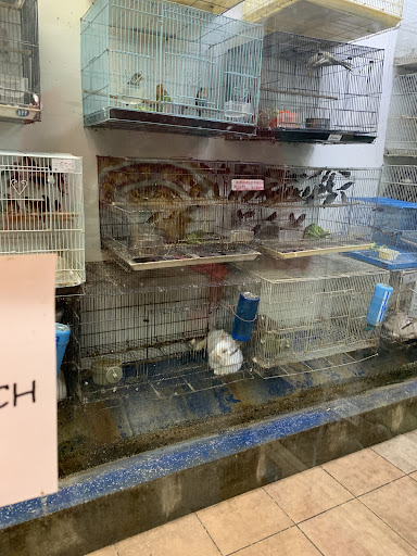 Pet Store «Fish-N-Pets Unlimited», reviews and photos, 11710 Bissonnet St, Houston, TX 77099, USA