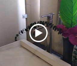 Cinemex Forum Tepic Platino photo