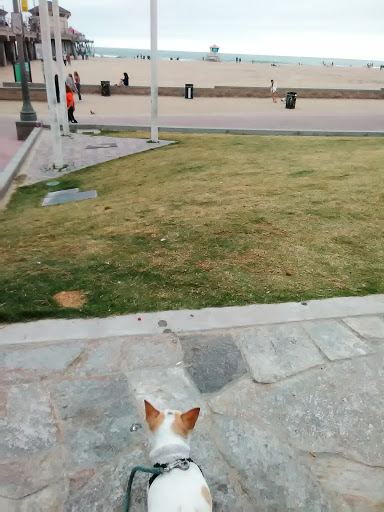 Gym «Equinox Huntington Beach», reviews and photos, 21010 Pacific Coast Hwy, Huntington Beach, CA 92648, USA