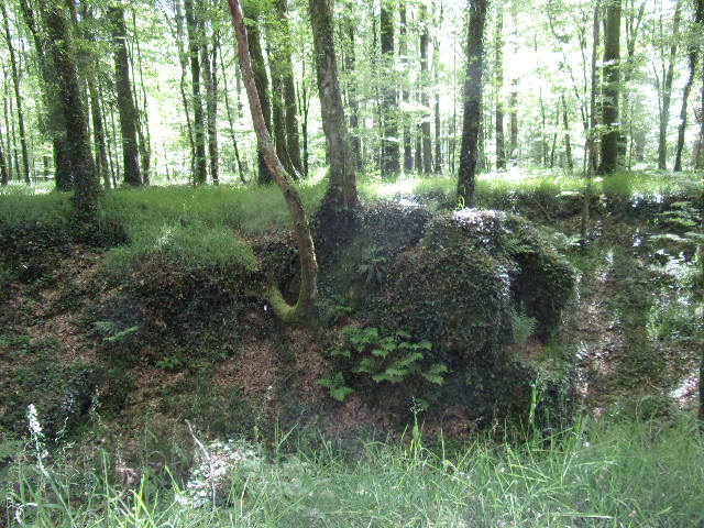 Photo n° 2 de l'avis de Cél.v fait le 10/05/2018 à 14:20