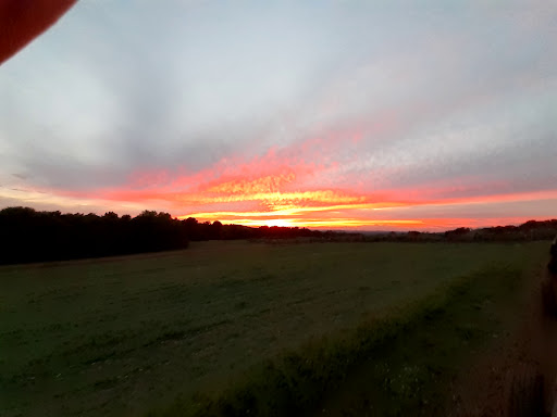 Winery «Echo Hill Orchards & Winery», reviews and photos, 101 Wilbraham Rd, Monson, MA 01057, USA