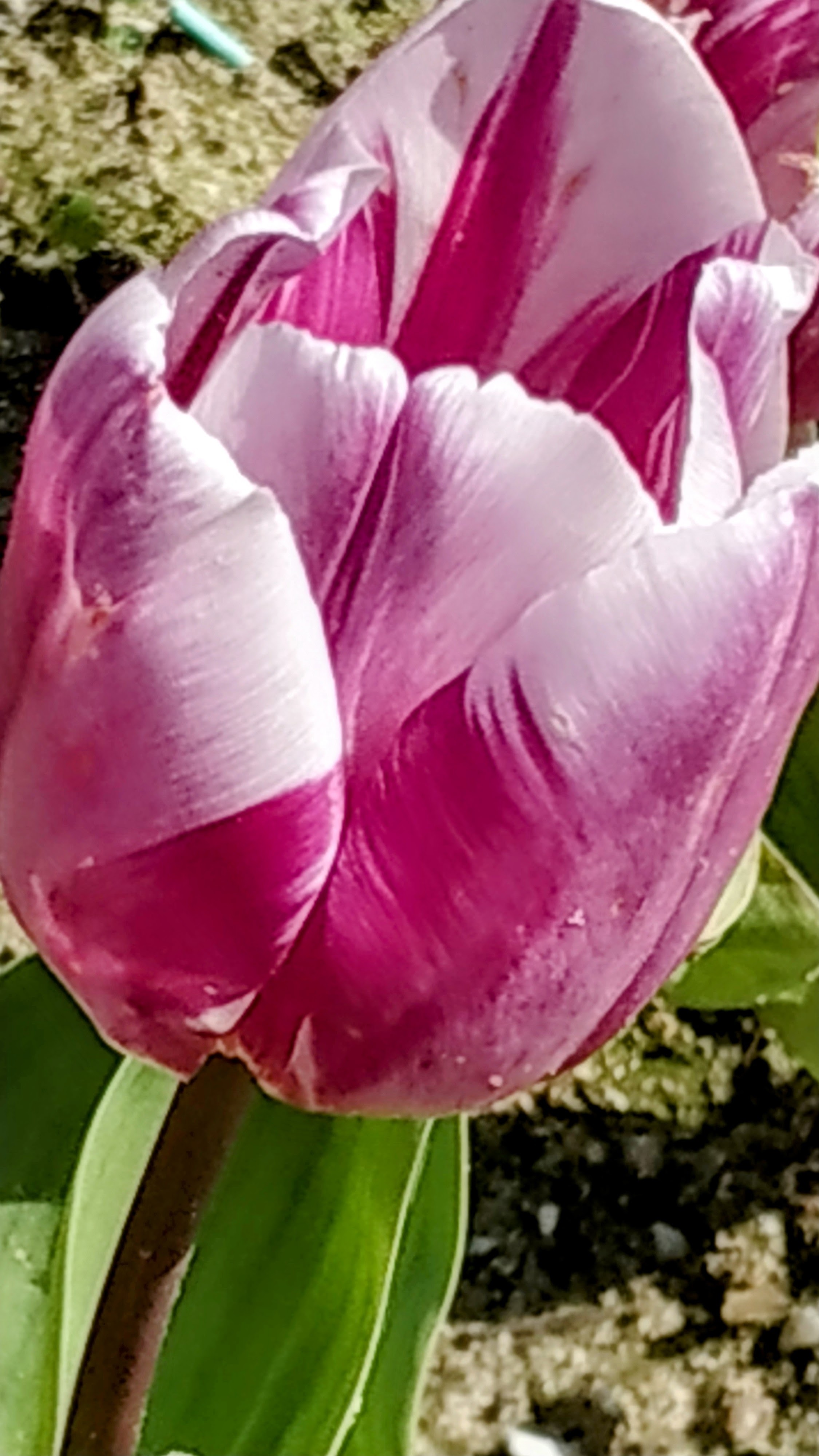 Photo n° 1 de l'avis de The.a fait le 05/04/2023 à 21:57