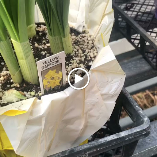 Hardware Store «New Palestine Hardware», reviews and photos, 50 W Main St, New Palestine, IN 46163, USA