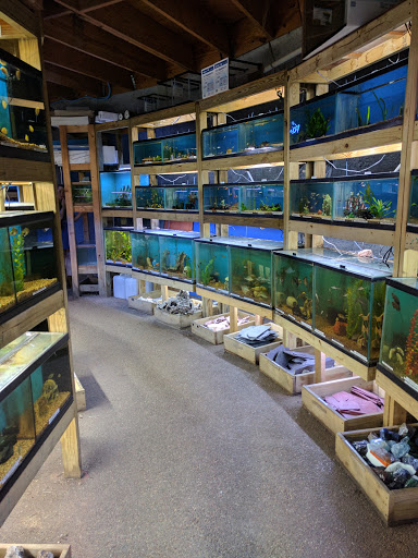 Tropical Fish Store «Austin Aqua-Dome», reviews and photos, 1604 Fortview Rd, Austin, TX 78704, USA
