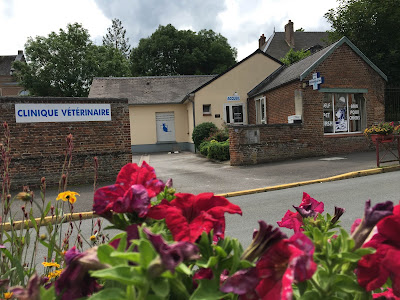 Clinique Vétérinaire du Bois Joli à Marle