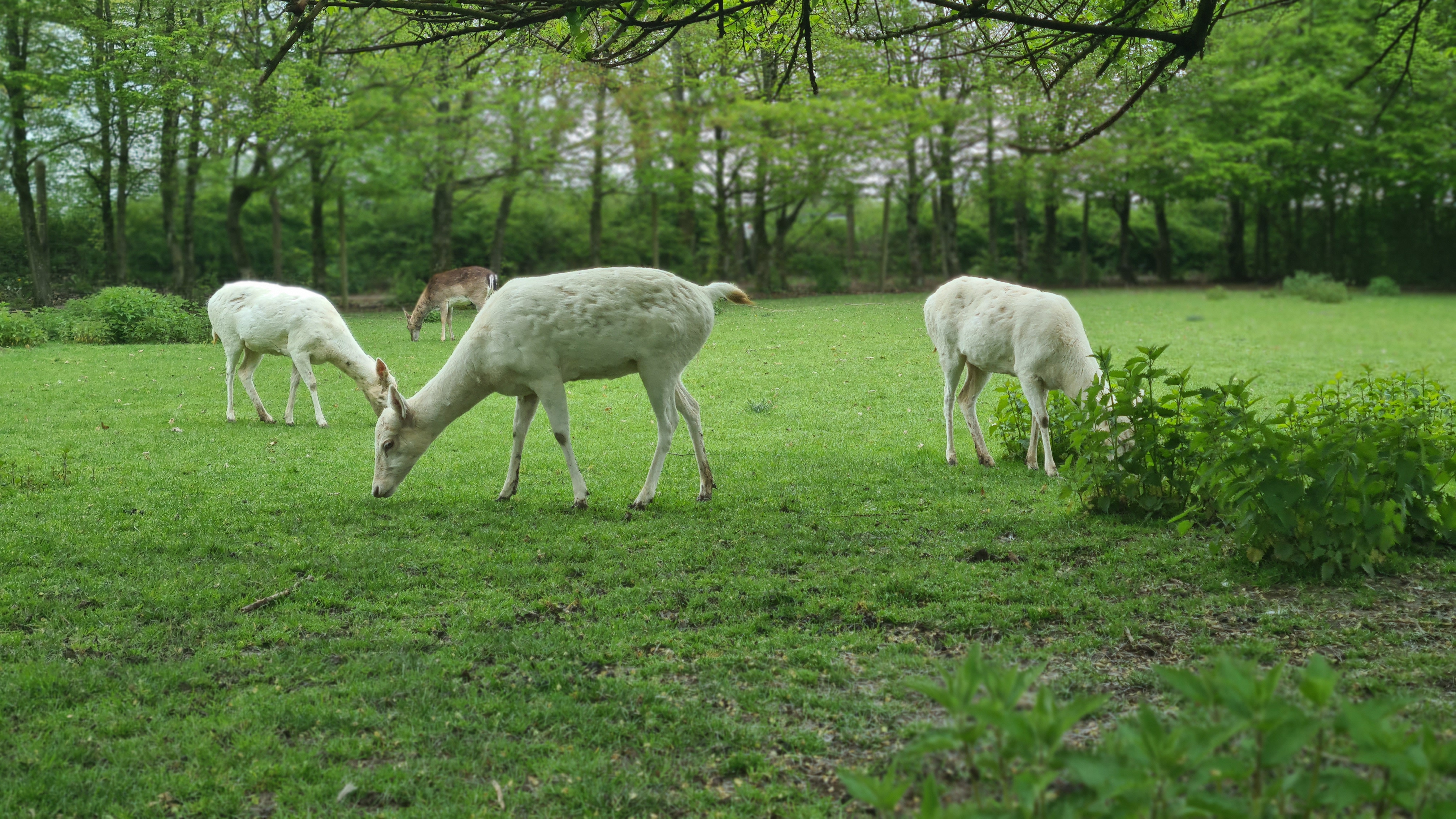 Photo n° 5 de l'avis de sylvette.a fait le 29/04/2023 à 15:40