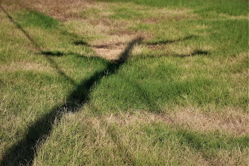 Nature Preserve «LLELA Nature Preserve», reviews and photos, 201 E Jones St, Lewisville, TX 75057, USA