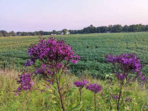 Community Center «Mason Community Center», reviews and photos, 6050 Mason Montgomery Rd, Mason, OH 45040, USA