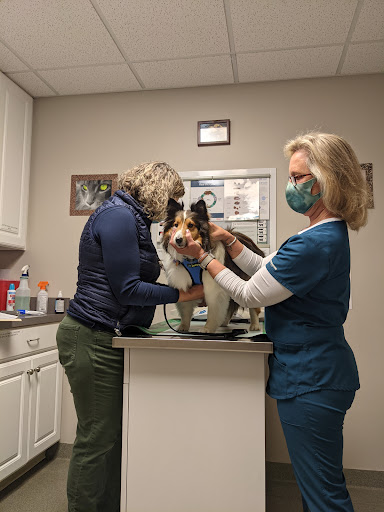 Animal Hospital «Hickory Veterinary Hospital», reviews and photos, 534 E Jarrettsville Rd, Forest Hill, MD 21050, USA
