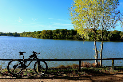 VTT - StAr à Saint-Arnoult-en-Yvelines
