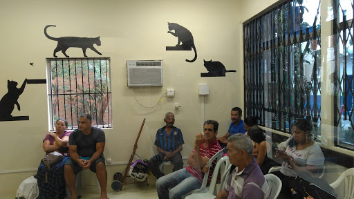 Especialistas em sentar-se em animais de estimação Rio De Janeiro