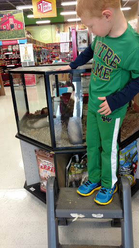 Pet Supply Store «Petco Animal Supplies», reviews and photos, 169 Federal Rd, Brookfield, CT 06804, USA