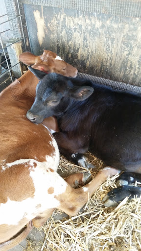 Park «Bever Park», reviews and photos, 2700 Bever Ave SE, Cedar Rapids, IA 52403, USA