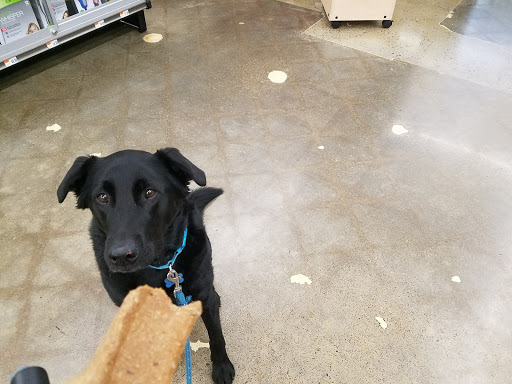 Pet Supply Store «Pet Supplies Plus», reviews and photos, 4121 Buffalo Rd, Erie, PA 16510, USA