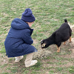 Photo n° 1 de l'avis de Catherine.i fait le 23/02/2024 à 07:20 pour GAEC AnimÉcow Ferme pédagogique à Saint-Cyr-les-Vignes