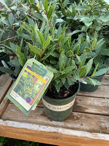 Garden Center «Blooms at Belle Mead», reviews and photos, 1980 US-206, Belle Mead, NJ 08502, USA