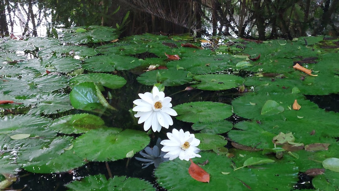 Playa Simona del Mar