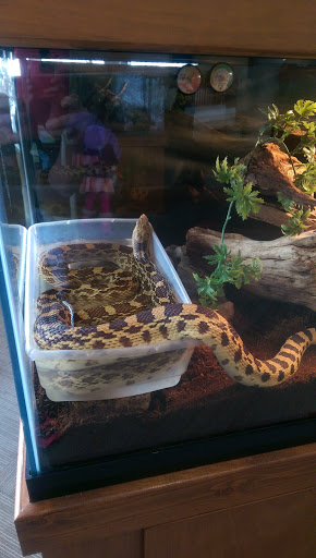 Nature Preserve «Hickory Knolls Discovery Center», reviews and photos, 3795 Campton Hills Drive, St Charles, IL 60175, USA