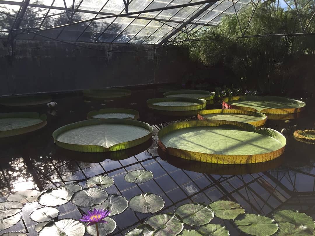 Photo n° 4 de l'avis de Amélie.e fait le 02/10/2018 à 10:36