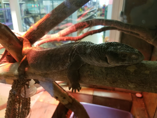 Pet Store «A to Z Pets», reviews and photos, 16010 SE Division St, Portland, OR 97236, USA