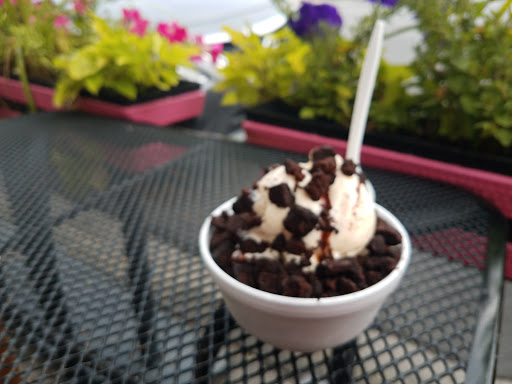 Ice Cream Shop «Sugar Shack», reviews and photos, 630 W 26th St, Chicago, IL 60616, USA