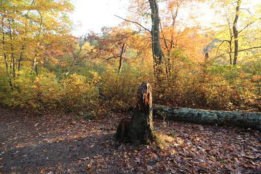 State Park «Blue Hills Reservation», reviews and photos, 695 Hillside St, Milton, MA 02186, USA