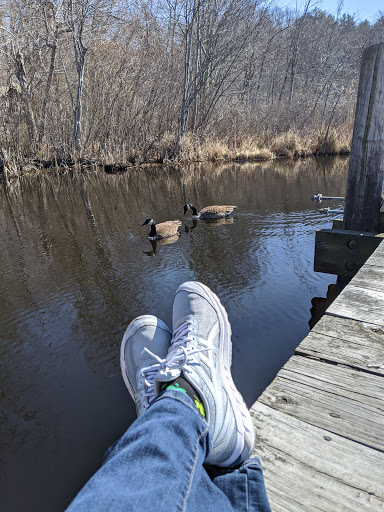 Hiking Area «Stony Brook Reservation», reviews and photos, Turtle Pond Pkwy, Hyde Park, MA 02136, USA