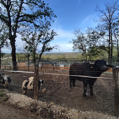 La Ferme de Découverte St Pierre Lafeuille à Saint-Pierre-Lafeuille