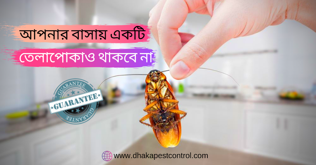 Dhaka Pest Control