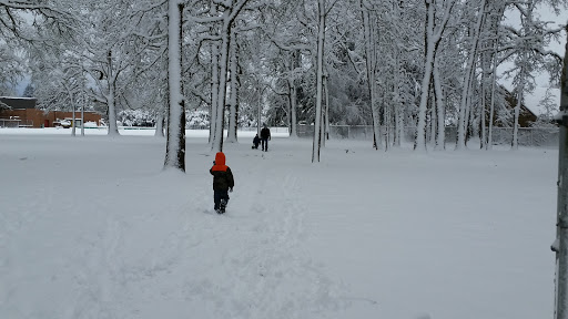 Park «Shadywood Park», reviews and photos, 535 NE 24th Ave, Hillsboro, OR 97124, USA