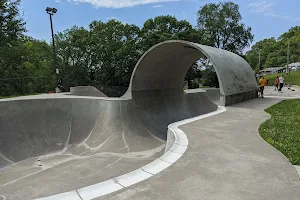 Pitcher Park Memorial Skatepark image