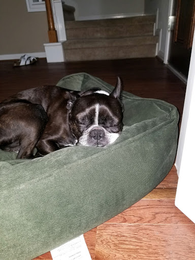 Pet Supply Store «PetSmart», reviews and photos, 5574 West Grand Parkway South, Richmond, TX 77406, USA