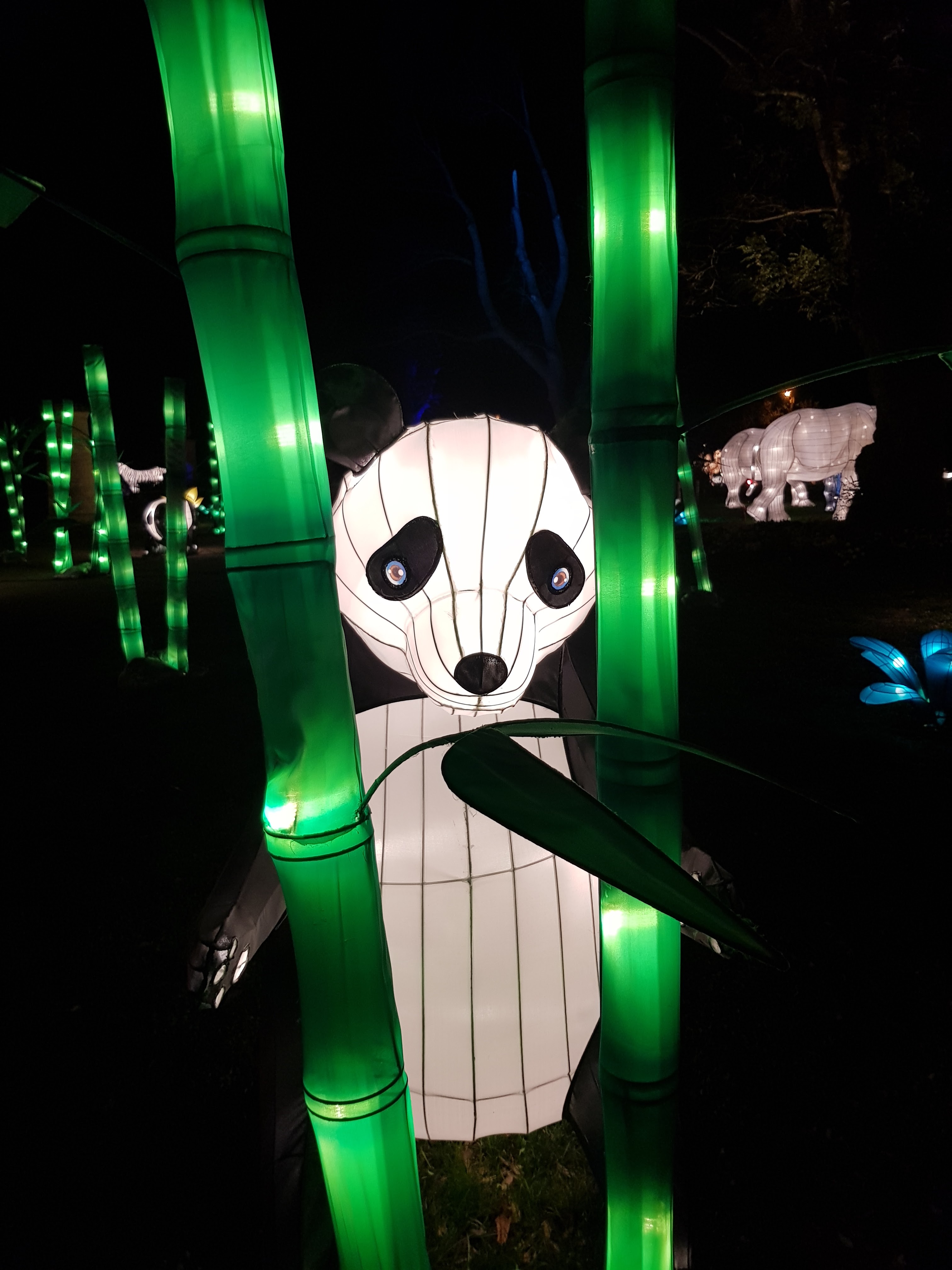 Photo n° 9 de l'avis de AlexBebop. fait le 30/12/2019 à 10:04