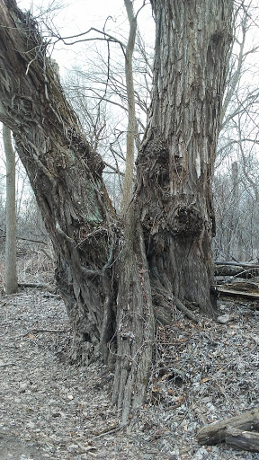 Park «Freedom Park», reviews and photos, 44705 Palmer Rd, Canton, MI 48188, USA