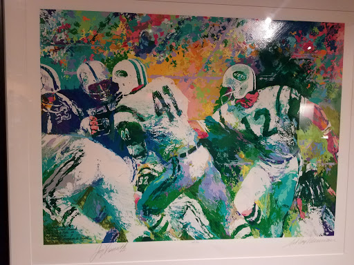 Museum «Pro Football Hall of Fame», reviews and photos, 2121 George Halas Dr NW, Canton, OH 44708, USA