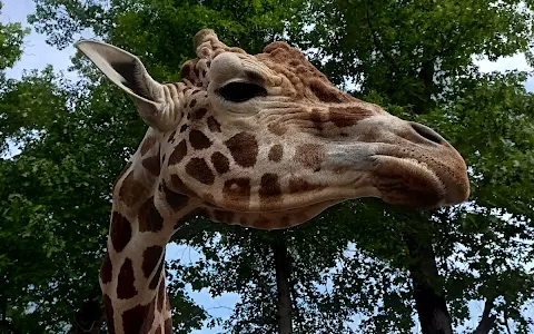 Indian Creek Zoo image